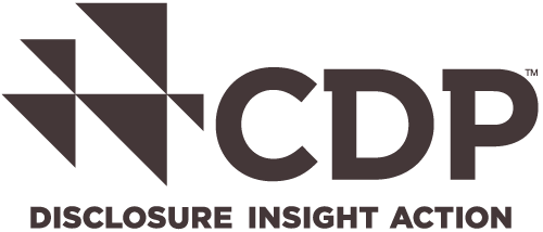 CDP Disclosure Insight Action