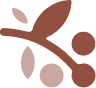 coffee seed 2